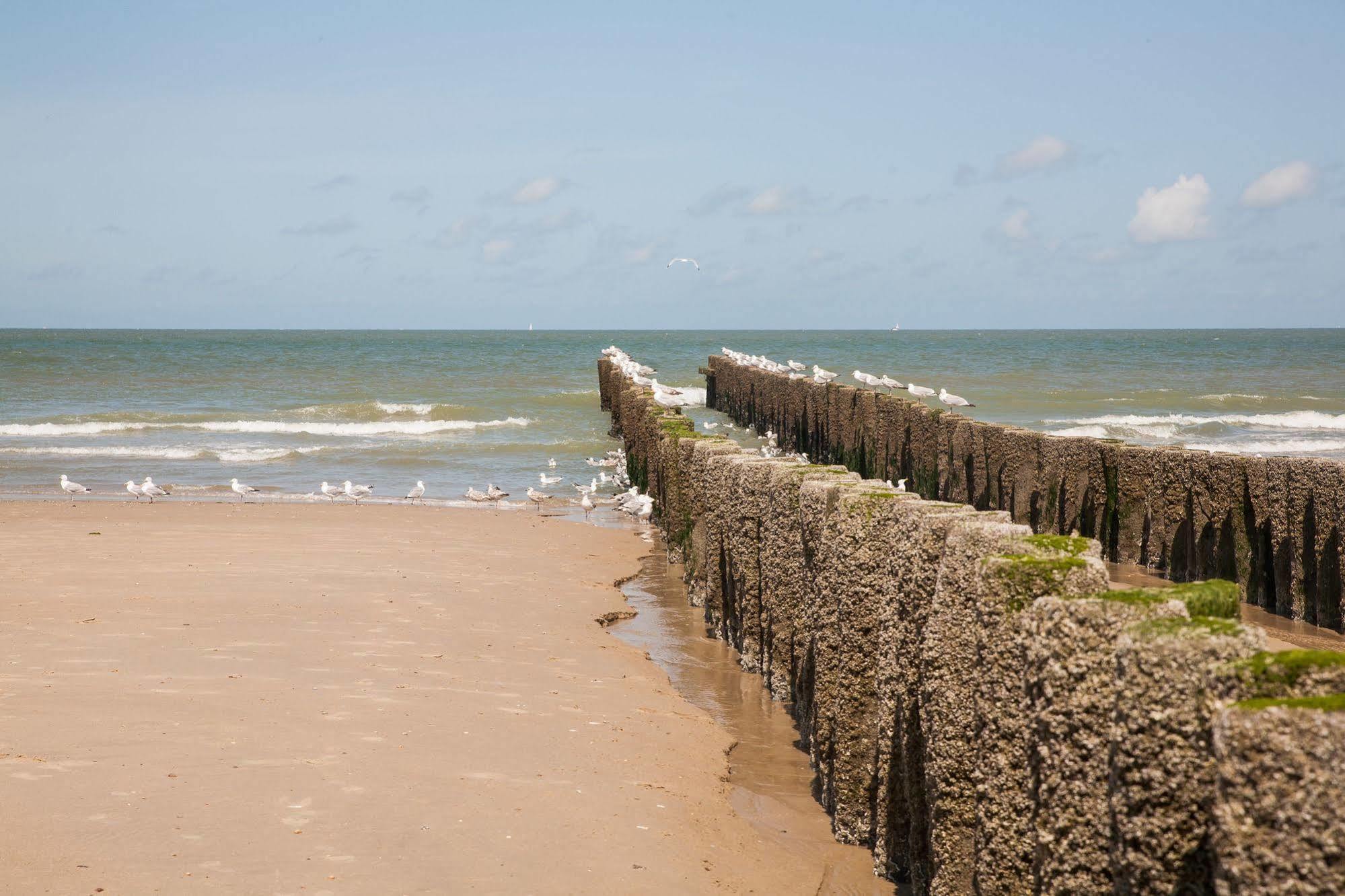 Hotel Domburg4You Exterior foto